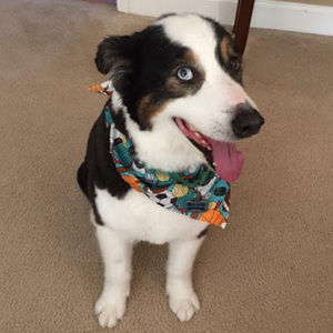 Meet your Posher, Denise